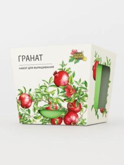 Подарочный набор для выращивания растений "Магия Цветов", "Гранат"