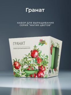 Alternative view of Подарочный набор для выращивания растений "Магия Цветов", "Гранат"