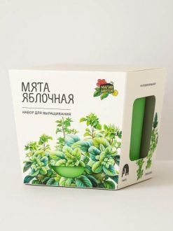 Подарочный набор для выращивания растений "Магия Цветов", "Мята яблочная"