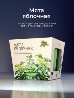Alternative view of Подарочный набор для выращивания растений "Магия Цветов", "Мята яблочная"