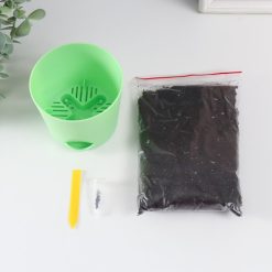 Подарочный набор для выращивания растений "Магия Цветов", "Эвкалипт лимонный"