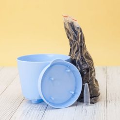 Набор для выращивания "Тысяча листьев", "Лаванда"