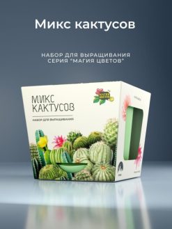 Alternative view of Набор д/выращивания "Магия цветов", "Микс кактусов"