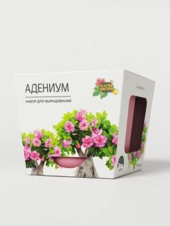 Набор д/выращивания "Магия цветов", "Адениум"