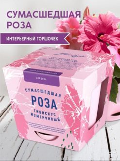 Alternative view of Набор д/выращивания "Тысяча листьев", "Сумасшедшая роза"