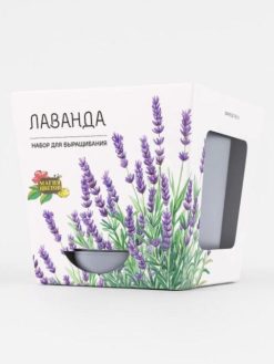 Набор для выращивания растений "Магия Цветов", "Лаванда"
