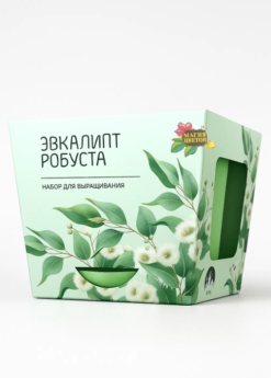 Набор для выращивания растений "Магия Цветов", "Эвкалипт робуста"
