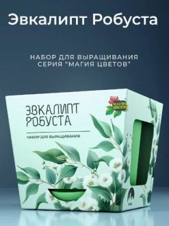 Alternative view of Набор для выращивания растений "Магия Цветов", "Эвкалипт робуста"