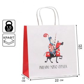 Пакет подарочный «Рыцарю», 22 × 22 × 11 см