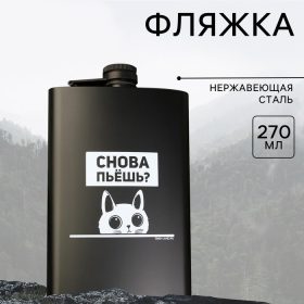 Фляжка "Снова пьешь?", 270 мл
