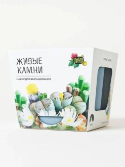 Набор для выращивания "Магия цветов", "Литопсы микс (живые камни)"