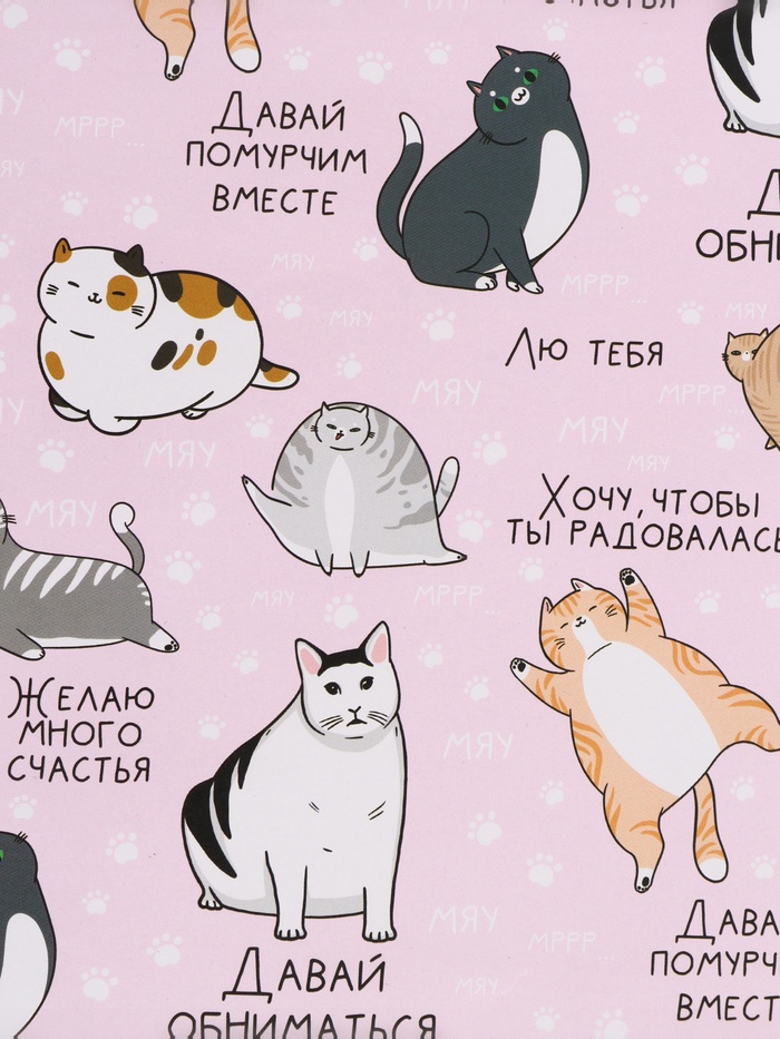 Бумага упаковочная глянцевая «Коты», 70 x 100 см 4 nana.by Бумага упаковочная глянцевая «Коты», 70 x 100 см — изображение 3